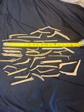 Natural Driftwood Branches for Reptile & Small Pet Habitats found on James River